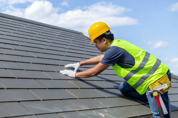 Best Roof Gutter Cleaning  in Sardinia, OH