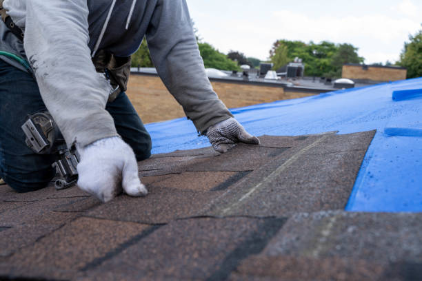 Best Commercial Roof Installation  in Sardinia, OH