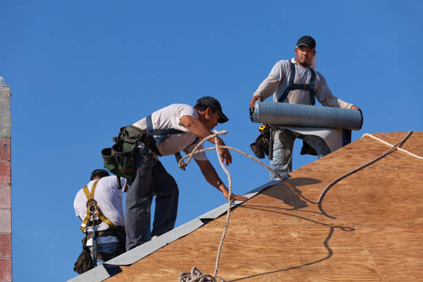 Best Metal Roofing Contractor  in Sardinia, OH